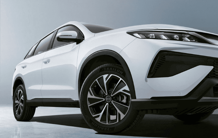 byd-bac-giang-nhan-coc-byd-sealion-5