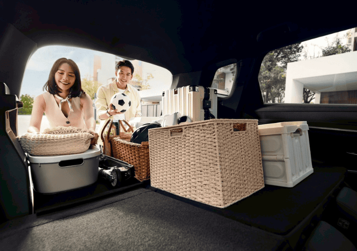 khoang-hanh-ly-byd-sealion-5