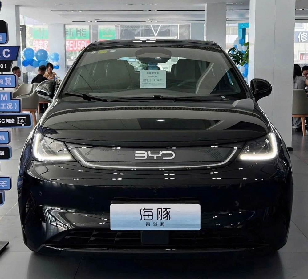 byd-dolphin-2026-sap-ra-mat-tai-viet-nam-gia-duoi-600-trieu