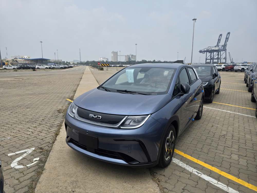 so-sanh-byd-dolphin-va-geely-ex2