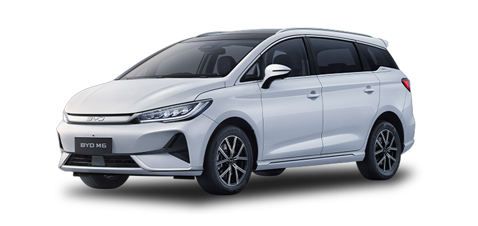 BYD M6