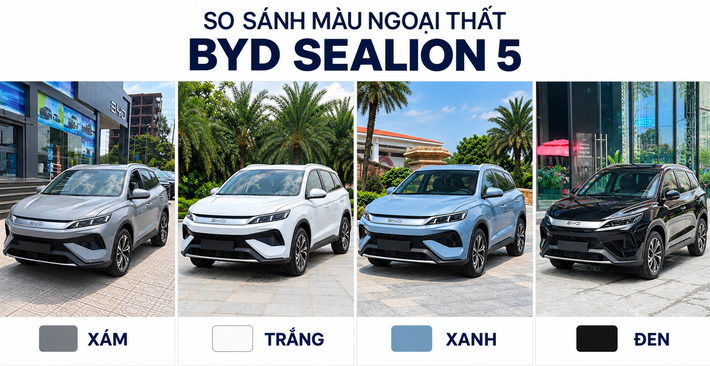bang-mau-byd-sealion-5