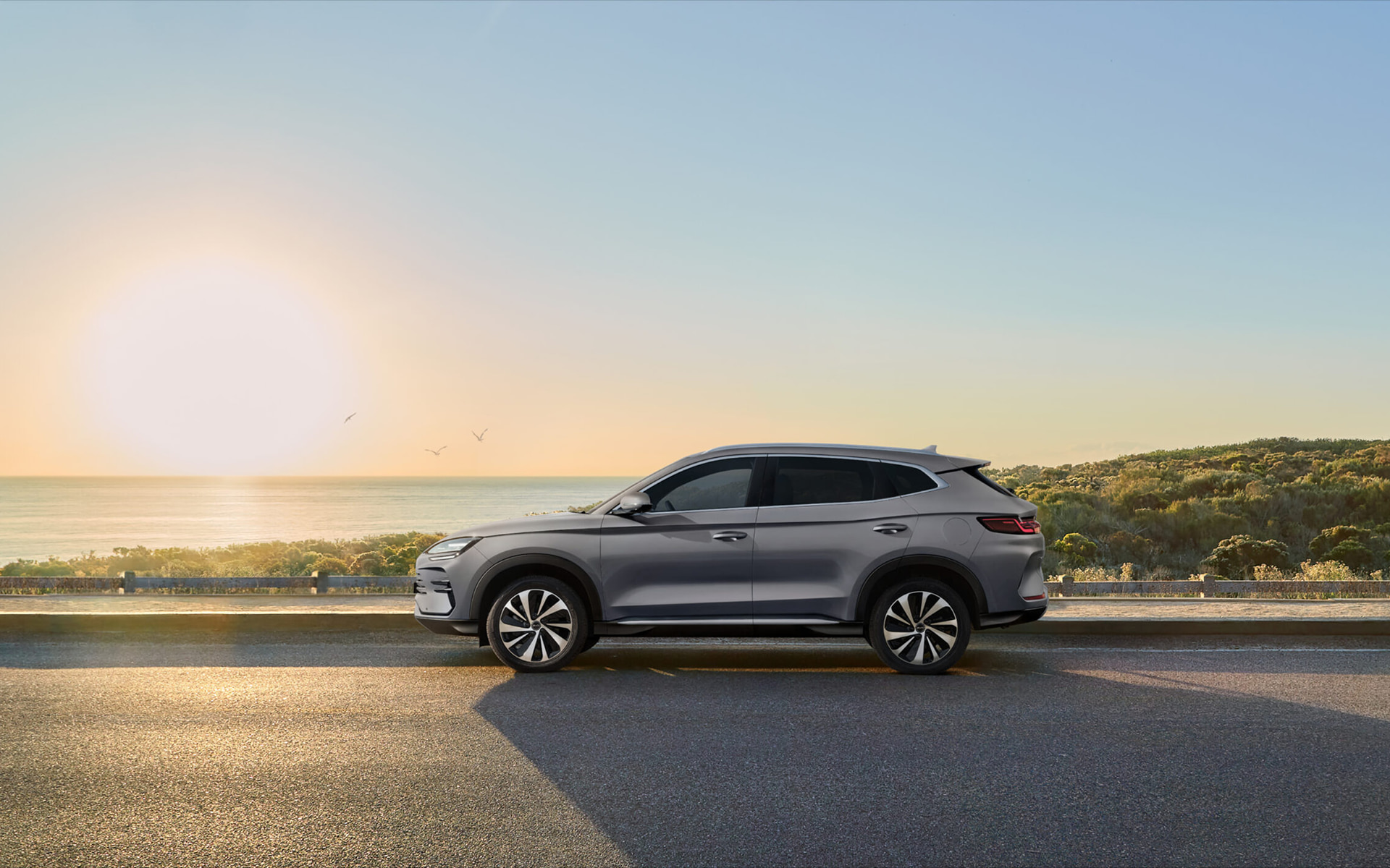 KHỎE KHOẮN - SANG TRỌNG