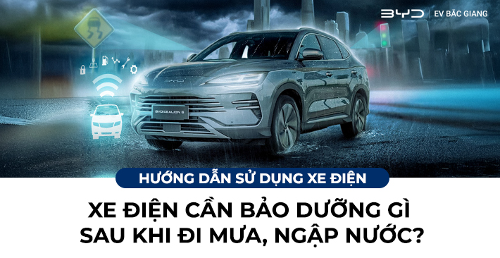 Xe Cần Bảo Dưỡng Gì Sau Khi Đi Mưa, Ngập Nước?